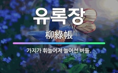 🌟유록장: 가지가 휘늘어져 늘어선 버들. - 표준국어대사전