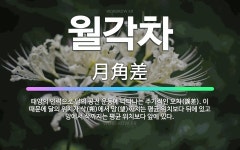 🌟월각차: 태양의 인력으로 달의 공전 운동에 나타나는 주기적인 오차(誤差). 이 때문에 달의 위치가 삭(朔... - 표준국어대사전