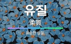 🌟유질: 유순한 성질. - 표준국어대사전