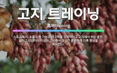 🌟고지 트레이닝: 스포츠에서, 호흡 순환 기능과 지구력을 강화하려고 고지에서 하는 훈련. 높이 2,000미... - 표준국어대사전