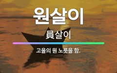 🌟원살이: 고을의 원 노릇을 함. - 표준국어대사전