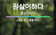 🌟원살이하다: 고을의 원 노릇을 하다. - 표준국어대사전