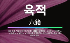 🌟육적: 중국 춘추 시대의 여섯 가지 경서(經書). ≪역경≫, ≪서경≫, ≪시경≫, ≪춘추≫, ≪예기≫, ... - 표준국어대사전
