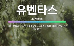 🌟유벤타스: 로마 신화에 나오는 청춘의 여신. 그리스 신화의 헤베(Hebe)에 해당한다. - 표준국어대사전