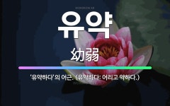 🌟유약: ‘유약하다’의 어근. (유약하다: 어리고 약하다.) - 표준국어대사전