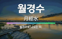 🌟월경수: 월경으로 나오는 피. - 표준국어대사전
