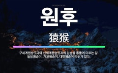🌟원후: 구세계원숭잇과와 신세계원숭잇과의 짐승을 통틀어 이르는 말. 늘보원숭이, 개코원숭이, 대만원숭이 따... - 표준국어대사전