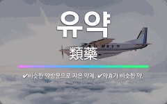 🌟유약: 비슷한 약방문으로 지은 약제., 약효가 비슷한 약. - 표준국어대사전