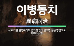 🌟이병동치: 서로 다른 질병이라도 병의 원인이 같으면 같은 방법으로 치료하는 일. - 표준국어대사전