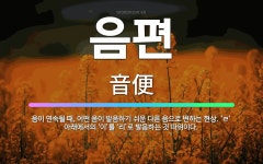 🌟음편: 음이 연속될 때, 어떤 음이 발음하기 쉬운 다른 음으로 변하는 현상. ‘ㄹ’ 아래에서의 ‘이’를 ... - 표준국어대사전