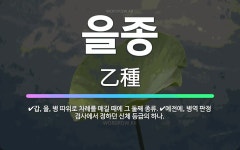 🌟을종: 갑, 을, 병 따위로 차례를 매길 때에 그 둘째 종류., 예전에, 병역 판정 검사에서 정하던 신체... - 표준국어대사전
