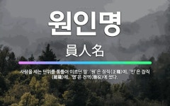 🌟원인명: 사람을 세는 단위를 통틀어 이르던 말. ‘원’은 정직(正職)에, ‘인’은 잡직(雜職)에, ‘명’... - 표준국어대사전