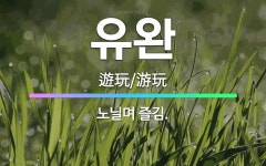 🌟유완: 노닐며 즐김. - 표준국어대사전