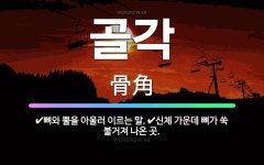 🌟골각: 신체 가운데 뼈가 쑥 불거져 나온 곳., 뼈와 뿔을 아울러 이르는 말. - 표준국어대사전