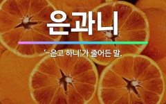 🌟은과니: ‘-은고 하니’가 줄어든 말. - 표준국어대사전