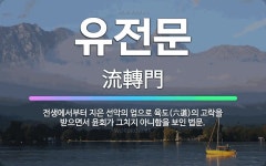 🌟유전문: 전생에서부터 지은 선악의 업으로 육도(六道)의 고락을 받으면서 윤회가 그치지 아니함을 보인 법문. - 표준국어대사전