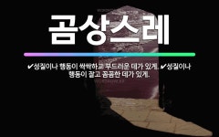 🌟곰상스레: 성질이나 행동이 잘고 꼼꼼한 데가 있게., 성질이나 행동이 싹싹하고 부드러운 데가 있게. - 표준국어대사전