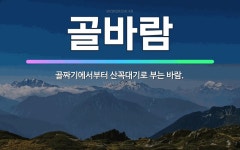 🌟골바람: 골짜기에서부터 산꼭대기로 부는 바람. - 표준국어대사전