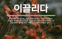 🌟이끌리다: 관심 따위가 쏠리게 되다. ‘이끌다’의 피동사. (이끌다: 남의 관심 따위를 쏠리게 하다.),... - 표준국어대사전
