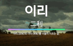 🌟이리: 자리(自利)와 이타(利他)를 아울러 이르는 말. - 표준국어대사전