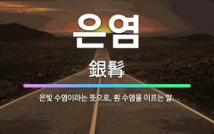 🌟은염: 은빛 수염이라는 뜻으로, 흰 수염을 이르는 말. - 표준국어대사전