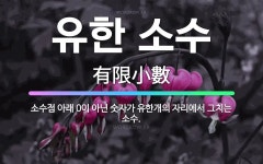🌟유한 소수: 소수점 아래 0이 아닌 숫자가 유한개의 자리에서 그치는 소수. - 표준국어대사전