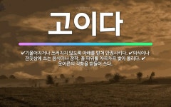 🌟고이다: 웃어른의 직함을 받들어 쓰다., 기울어지거나 쓰러지지 않도록 아래를 받쳐 안정시키다., 의식이나... - 표준국어대사전