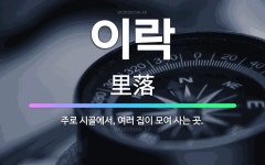 🌟이락: 주로 시골에서, 여러 집이 모여 사는 곳. - 표준국어대사전