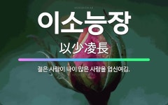 🌟이소능장: 젊은 사람이 나이 많은 사람을 업신여김. - 표준국어대사전