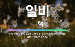 🌟일비: 한 팔 또는 한쪽 팔꿈치라는 뜻으로, 늘 가까이 있으면서 도움이 되는 사람을 이르는 말. - 표준국어대사전