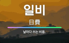 🌟일비: 날마다 쓰는 비용. - 표준국어대사전