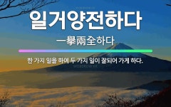 🌟일거양전하다: 한 가지 일을 하여 두 가지 일이 잘되어 가게 하다. - 표준국어대사전