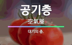 🌟공기층: 대기의 층. - 표준국어대사전