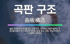 🌟곡판 구조: 얇은 곡면판으로 공간을 덮는 건축 구조. 가벼워서 기둥이 없어도 큰 공간을 얻을 수 있기 때... - 표준국어대사전