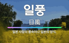 🌟일풍: 일본 사람의 풍속이나 일본의 양식. - 표준국어대사전