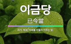 🌟이금당: 과거, 현재, 미래를 아울러 이르는 말. - 표준국어대사전