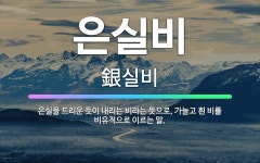 🌟은실비: 은실을 드리운 듯이 내리는 비라는 뜻으로, 가늘고 흰 비를 비유적으로 이르는 말. - 표준국어대사전