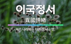 🌟이국정서: 자기 나라와는 다른 정서나 멋. - 표준국어대사전