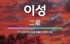 🌟이성: 견우성과 직녀성을 통틀어 이르는 말. - 표준국어대사전