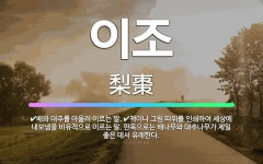 🌟이조: 책이나 그림 따위를 인쇄하여 세상에 내보냄을 비유적으로 이르는 말. 판목으로는 배나무와 대추나무가... - 표준국어대사전