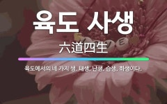 🌟육도 사생: 육도에서의 네 가지 생. 태생, 난생, 습생, 화생이다. - 표준국어대사전