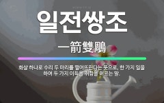 🌟일전쌍조: 화살 하나로 수리 두 마리를 떨어뜨린다는 뜻으로, 한 가지 일을 하여 두 가지 이득을 취함을 ... - 표준국어대사전