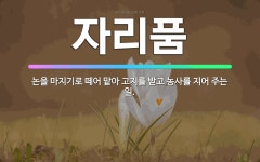 🌟자리품: 논을 마지기로 떼어 맡아 고지를 받고 농사를 지어 주는 일. - 표준국어대사전