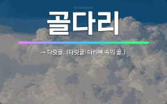 🌟골다리: → 다릿골. (다릿골: 다리뼈 속의 골.) - 표준국어대사전