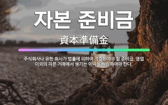 🌟자본 준비금: 주식회사나 유한 회사가 법률에 의하여 적립하여야 할 준비금. 영업 이외의 자본 거래에서 생... - 표준국어대사전