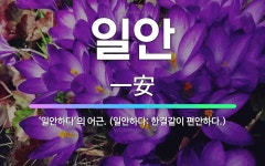 🌟일안: ‘일안하다’의 어근. (일안하다: 한결같이 편안하다.) - 표준국어대사전