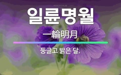 🌟일륜명월: 둥글고 밝은 달. - 표준국어대사전