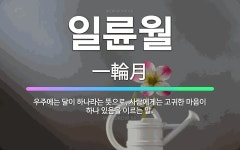 🌟일륜월: 우주에는 달이 하나라는 뜻으로, 사람에게는 고귀한 마음이 하나 있음을 이르는 말. - 표준국어대사전