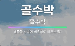 🌟골수박: 해골을 수박에 비유하여 이르는 말. - 표준국어대사전