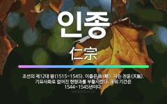 🌟인종: 조선의 제12대 왕(1515~1545). 이름은 호(峼). 자는 천윤(天胤). 기묘사화로 없어진 ... - 표준국어대사전